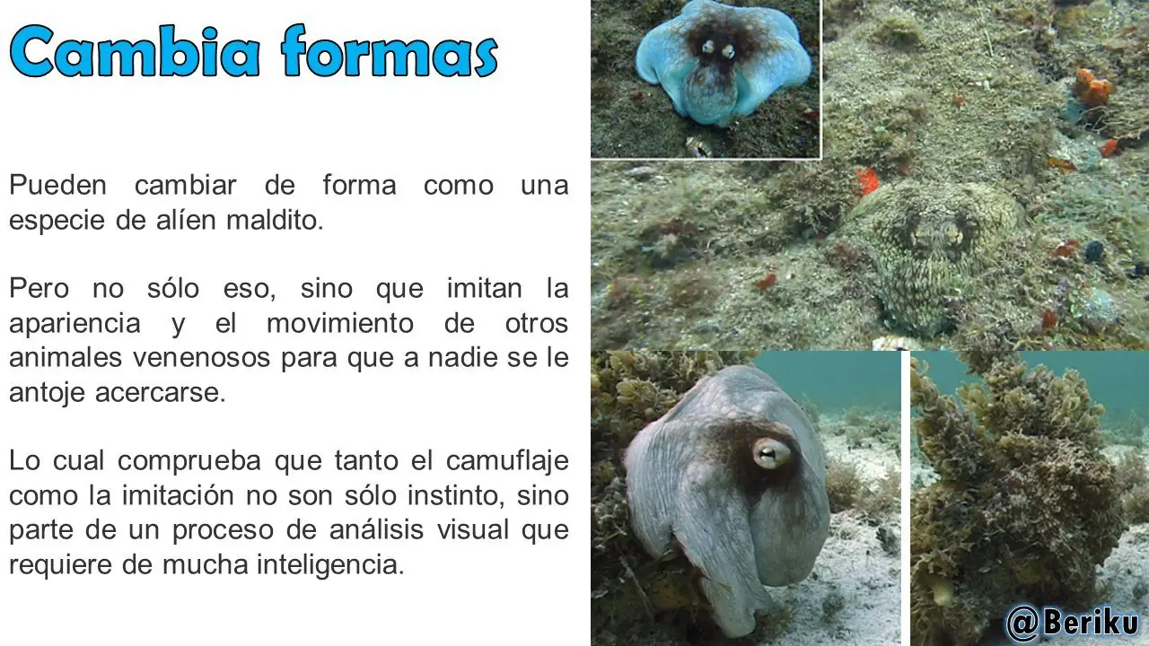 educacion