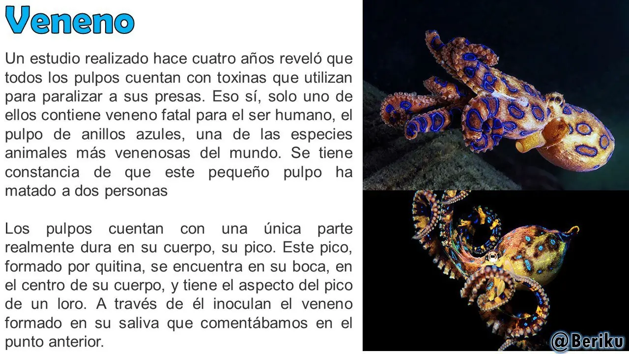 Mira lo que puede hacer el Pulpo, el animal más Brutal