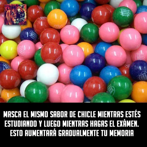 curiosidades del mundo