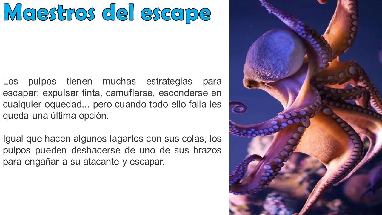 ciencia