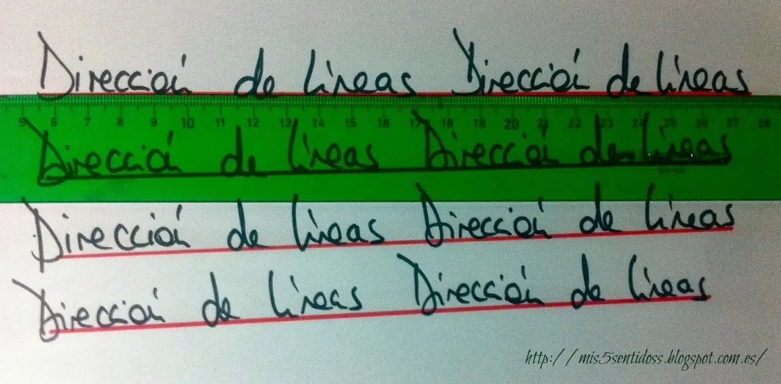 ¿Cuadernos o Carpetas en primaria y secundaria?