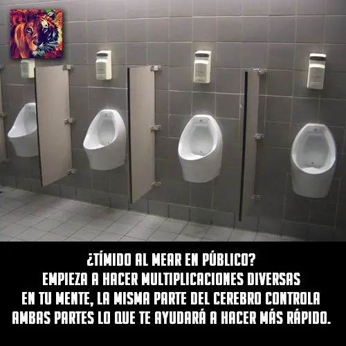 Curiosidades