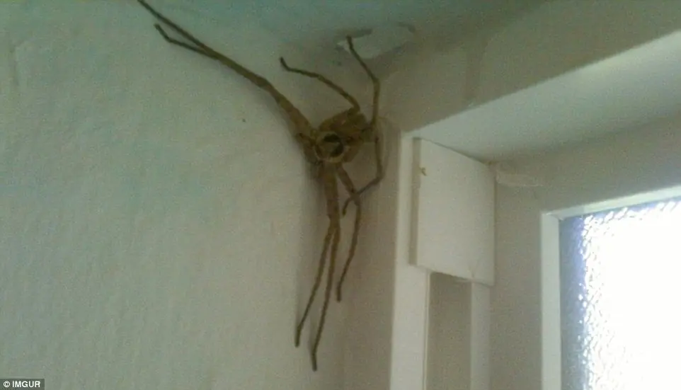 Distráete con estas imágenes Wtf y curiosas.