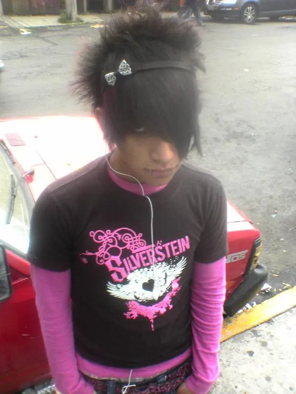 Modas estupidas 2006-2014