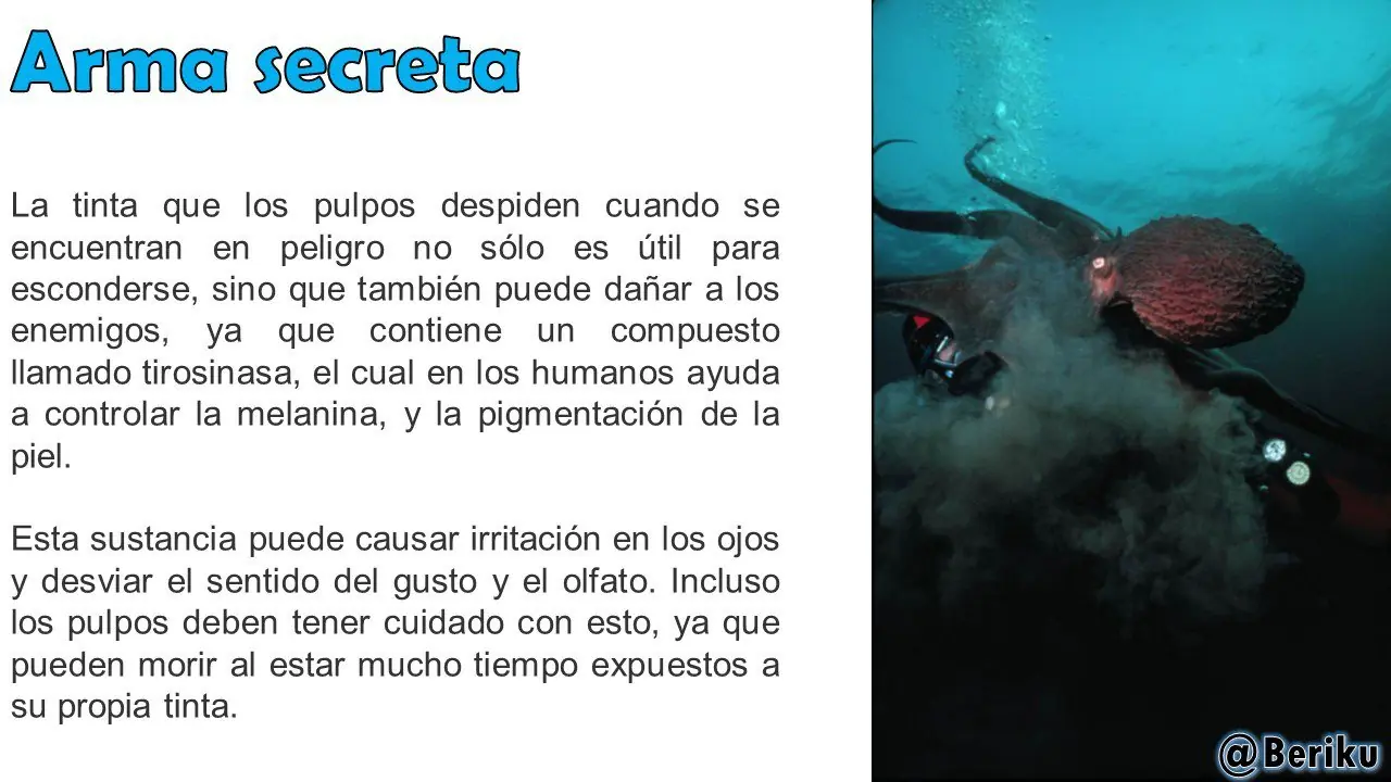 Mira lo que puede hacer el Pulpo, el animal más Brutal