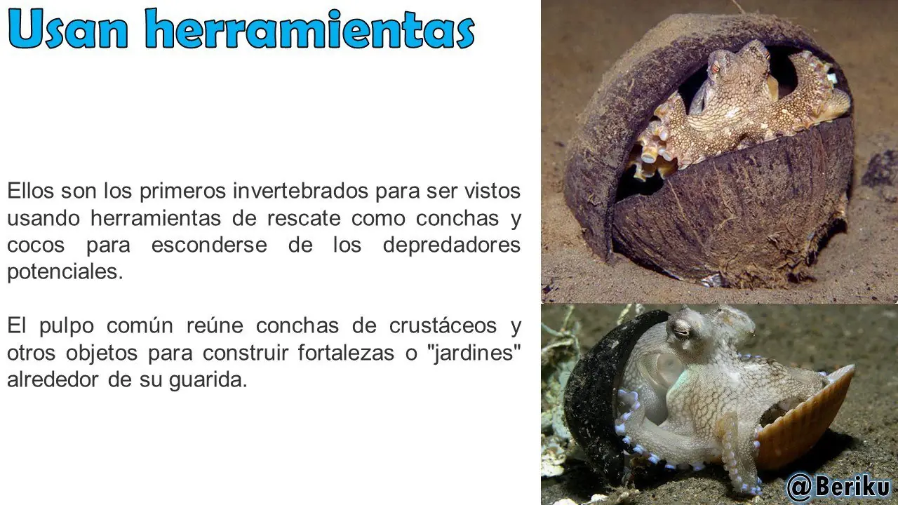 ciencia