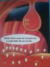 taringa