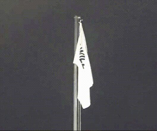 4chan, edición "Captura la bandera"