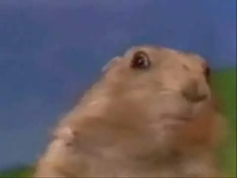 Los memes mas famosos de Internet [Parte 3]