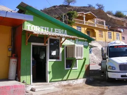 taringa