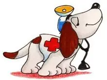 mascota