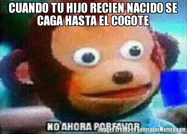 ocio