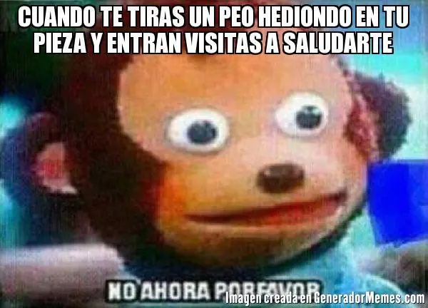 recopilacion