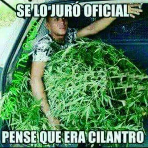 Facebook Facebook