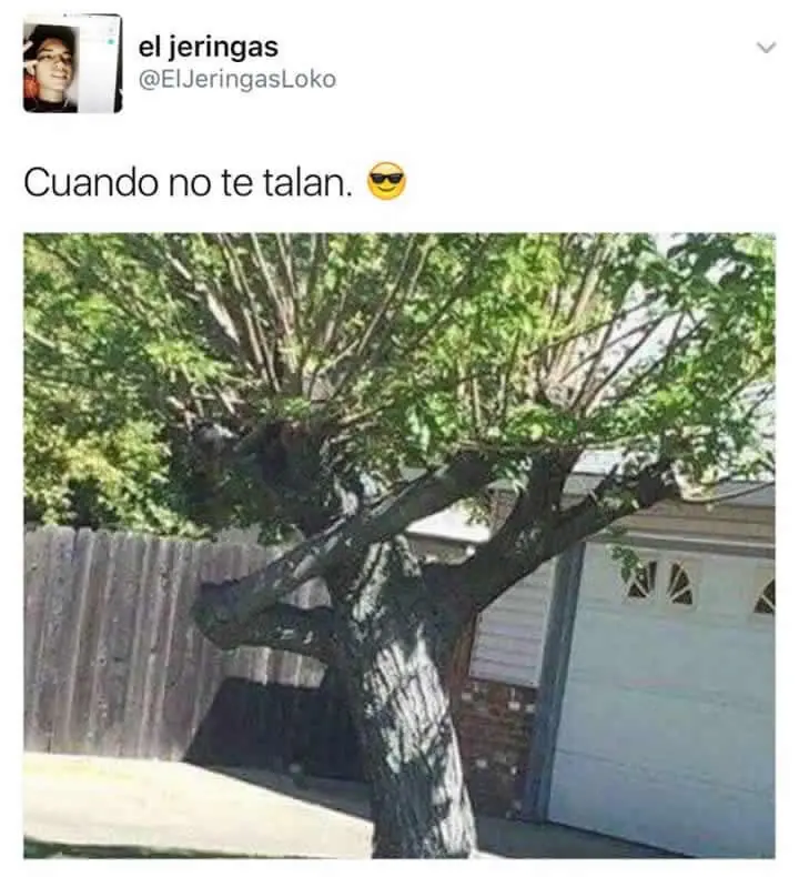 humor megapost