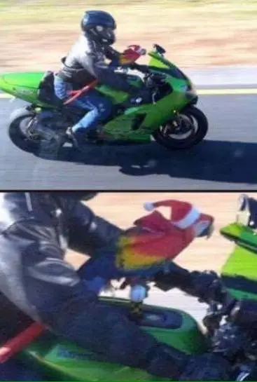 imagenes de humor