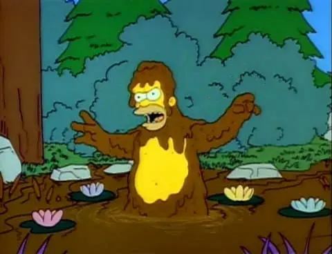 Así protegí mi casa de los rollingas, recital del indio.