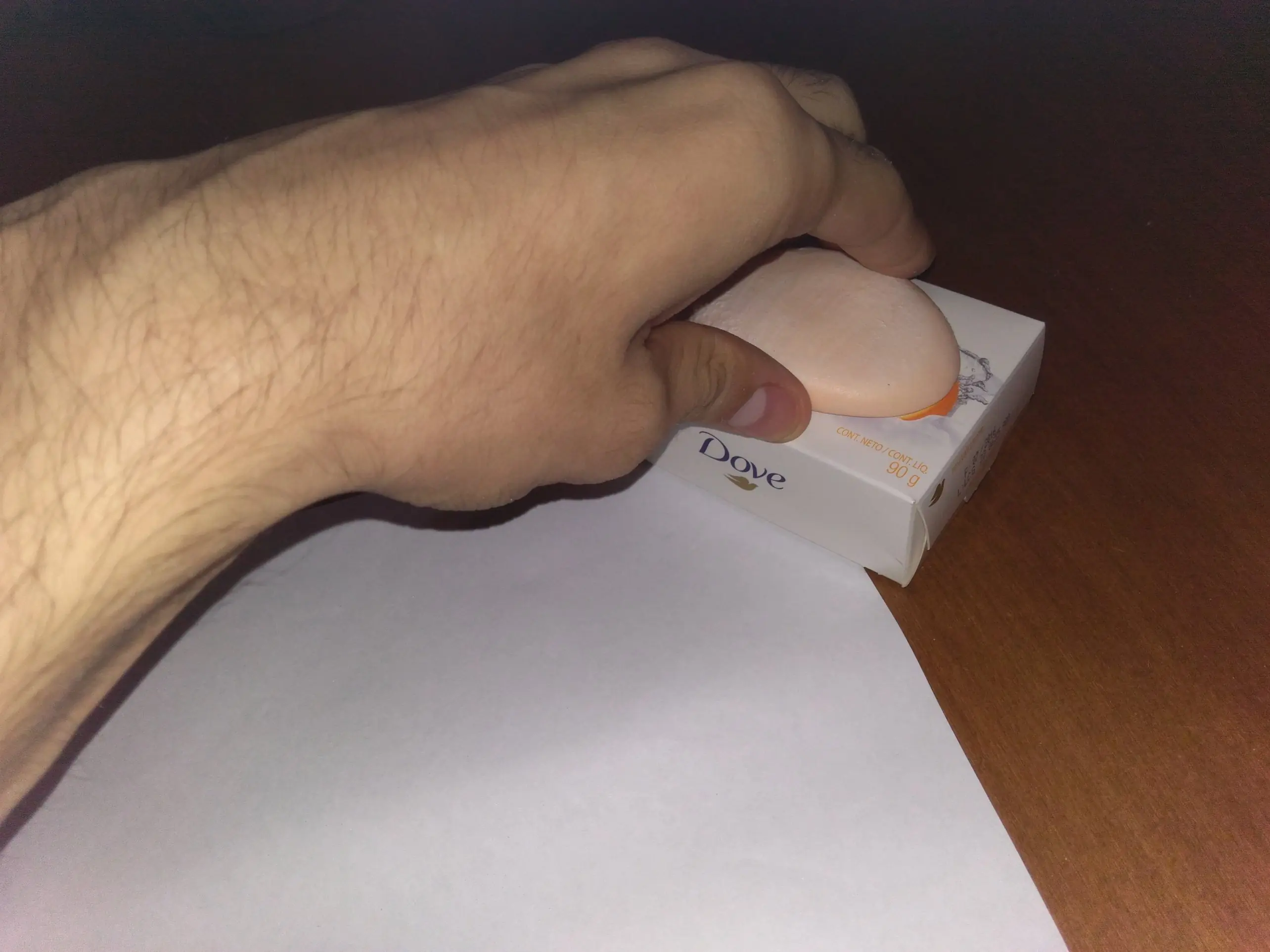 Así protegí mi casa de los rollingas, recital del indio.