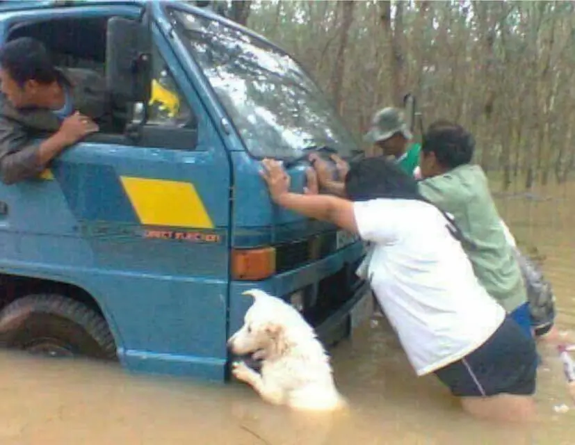 humor loco