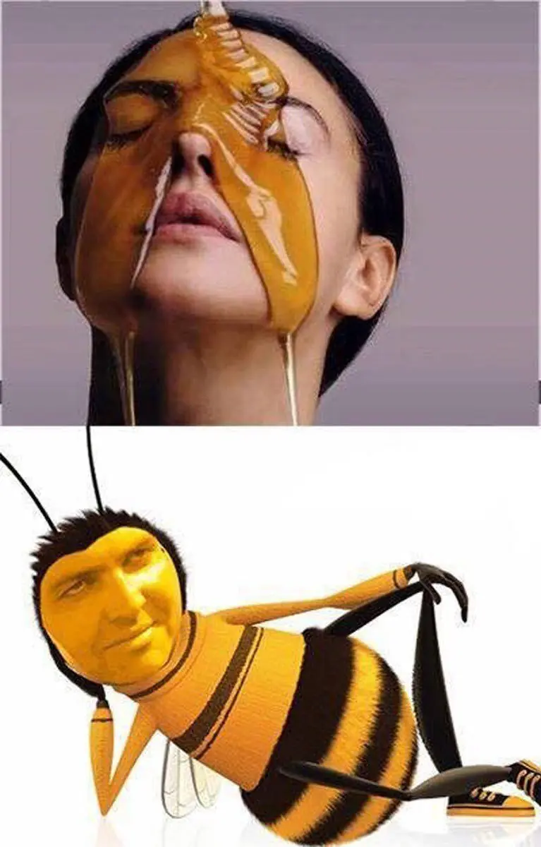 memes
