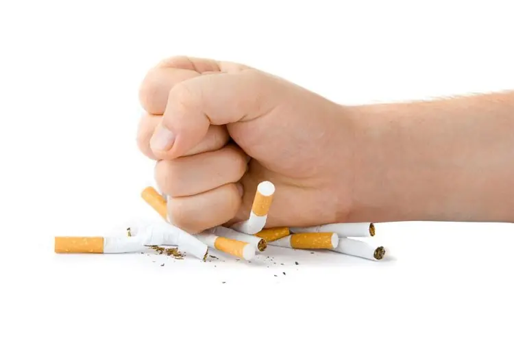 Lo que necesitas saber para llevar una vida saludable! Lo que necesitas saber para llevar una vida saludable!
