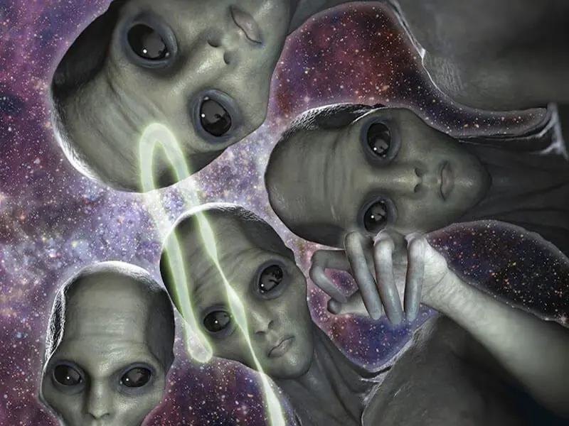 inteligencia colectiva