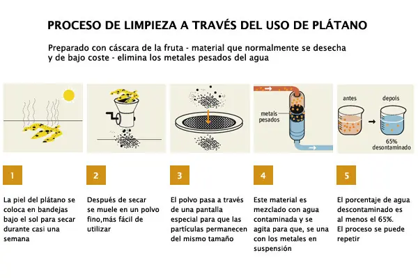 fertilizantes organicos fertilizantes organicos
