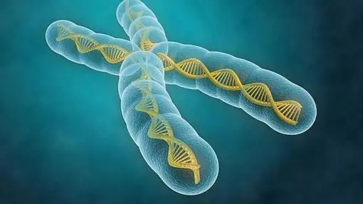 investigaciones cientificas