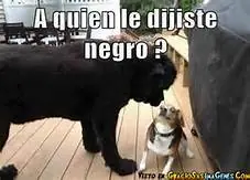 Pasa y reite un rato con estas Imagenes [+1]