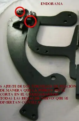 customizar
