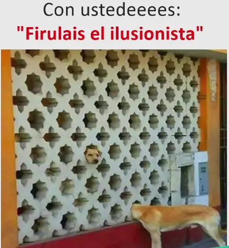 entra y reite