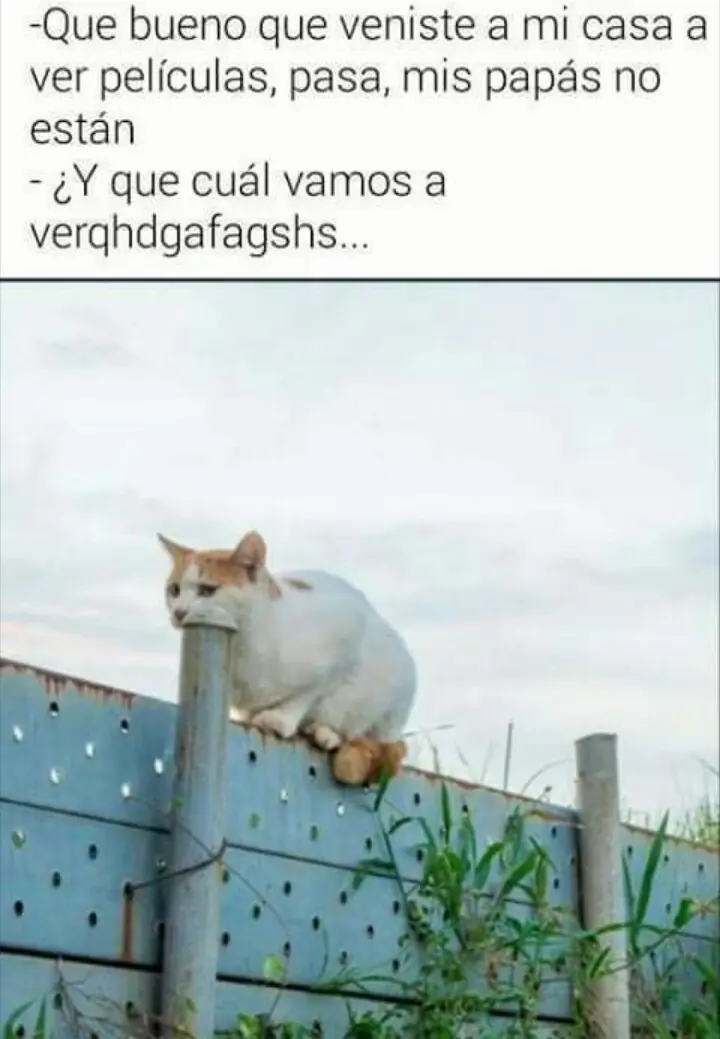 Pasa y reite un rato con estas Imagenes [+1]