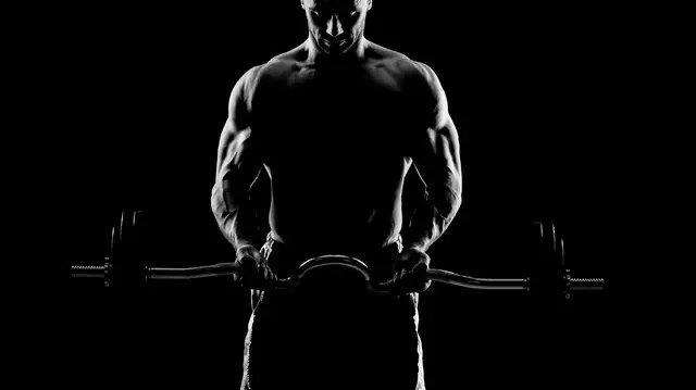 musculos musculos