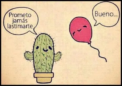 consejos