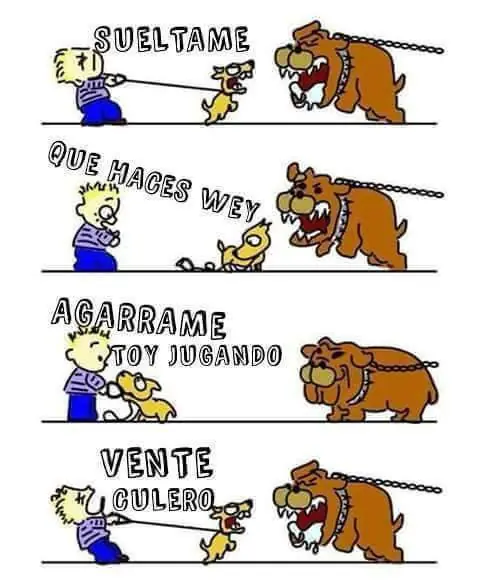 Categorias Categorias
