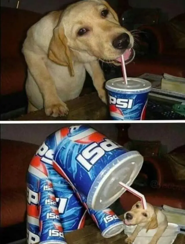 imagenes de humor