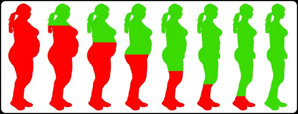 Como perder peso rápido – dietas sanas y ejercicios