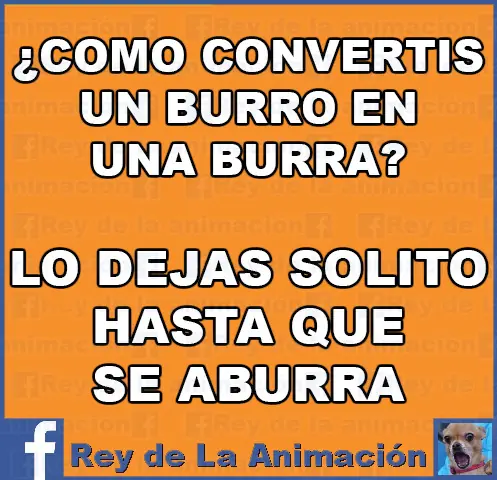 frases celebres del discurso de 