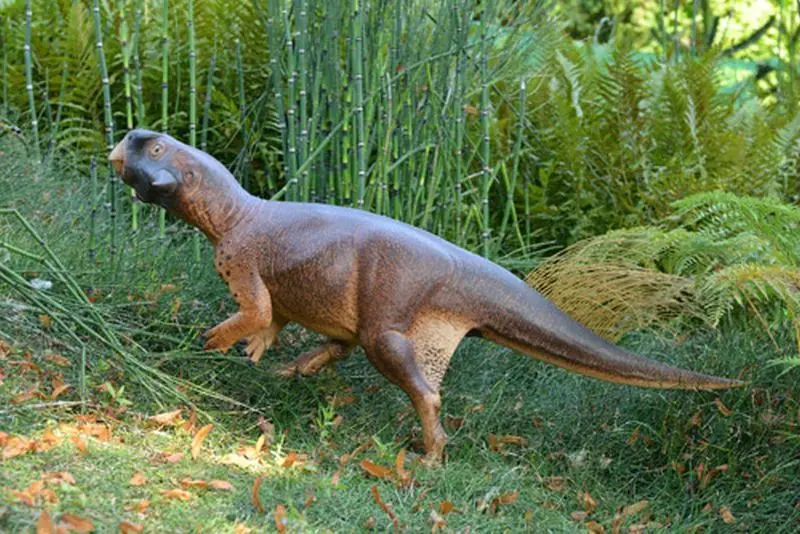 sinosauropteryx