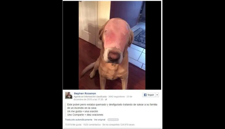 10 Publicaciones de facebook que te dejaran ciego!