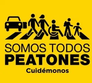 inteligencia colectiva