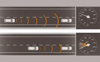 inteligencia colectiva