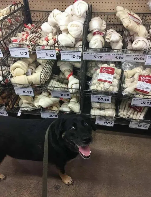 fotos de humorfotos para reir