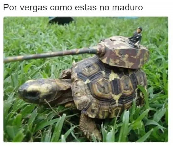 Humor random de JUEVES!!!