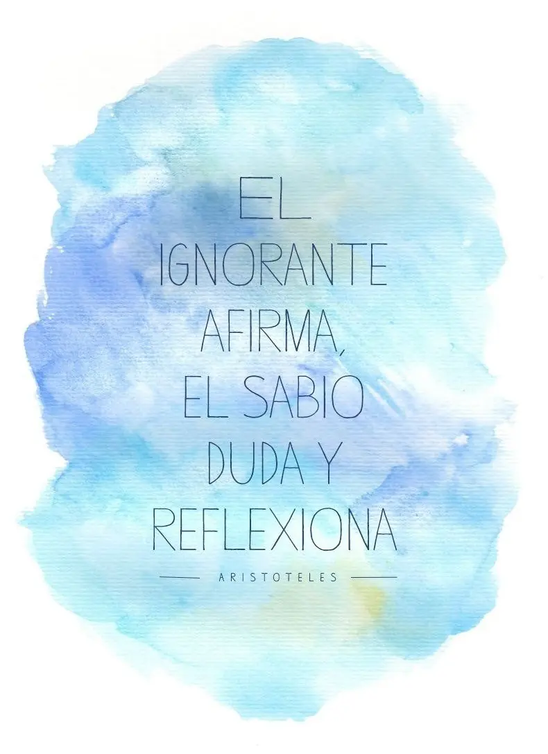 citas citas
