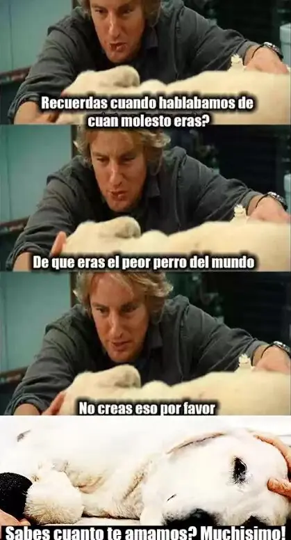 imagenes
