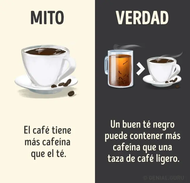 12 Mitos que hay que olvidar de algunas bebidas