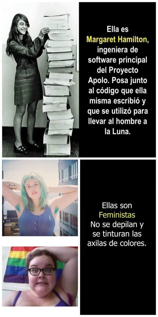 sociologia