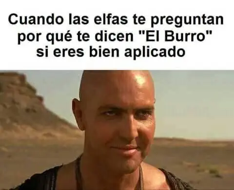 humor en imagenes
