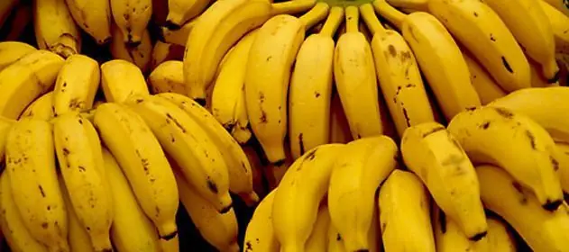 Tipos de Bananas y sus Beneficios en la Salud